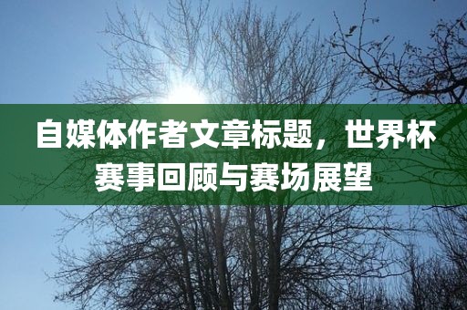 洪湖市顺升工程机械租赁有限公司自媒体作者文章标题，世界杯赛事回顾与赛场展望