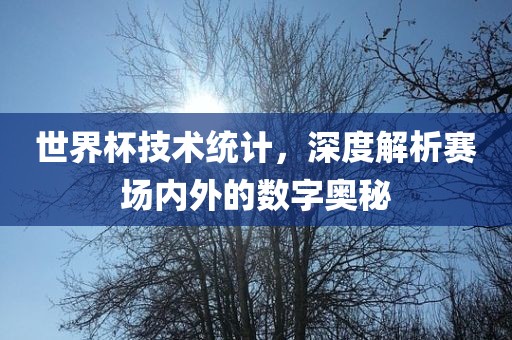 世界杯技术统计，深度解析赛场内外的数字奥秘洪湖市顺升工程机械租赁有限公司