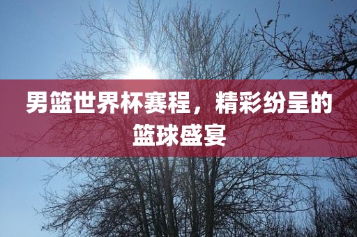男篮世界杯赛程，精彩纷呈的篮球盛宴