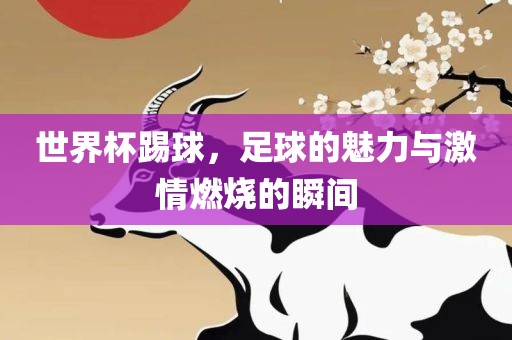 世界杯踢球，足球的魅力与激情燃烧的瞬间