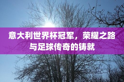 意大利世界杯冠军，荣耀之路与足球传奇的铸就