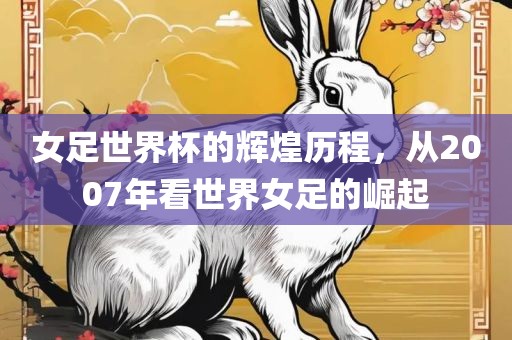 女足世界杯的辉煌历程，从2007年看世界女足的崛起洪湖市顺升工程机械租赁有限公司