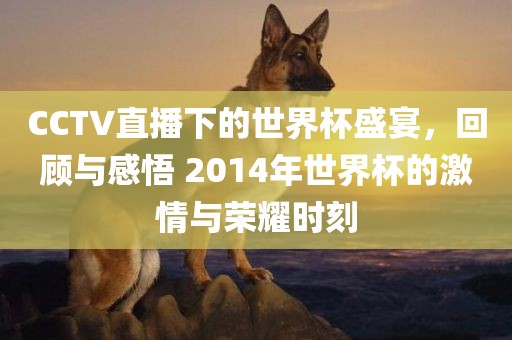 CCTV直播下的世界杯盛宴，回顾与感悟 2014年世界杯的激情与荣耀时刻