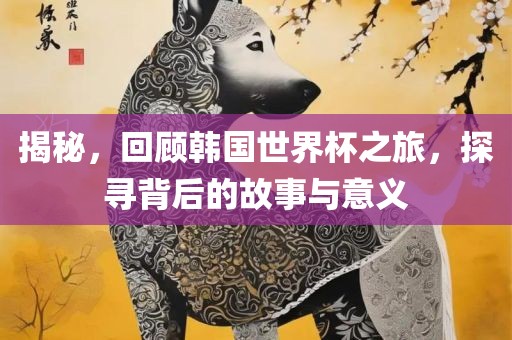 揭秘，回顾韩国世界杯之旅，探寻背后的故事与意义