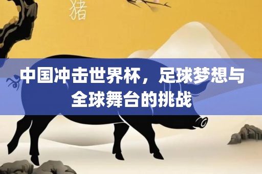 中国冲击世界杯，足球梦想与全球舞台的挑战