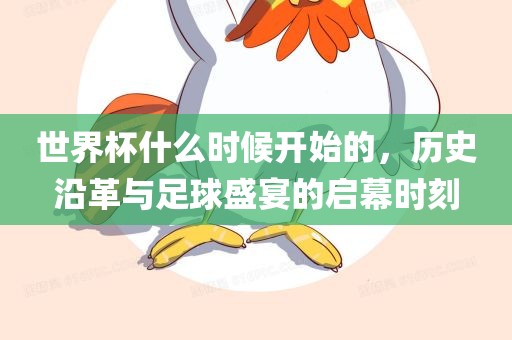 世界杯什么时候开始的，历史沿革与足球盛宴的启幕时刻