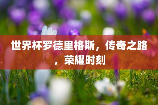 世界杯罗德里格斯，传奇之路，荣耀时刻