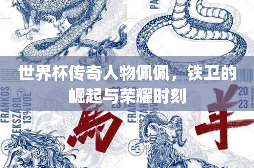 世界杯传奇人物佩佩，铁卫的崛起与荣耀时刻