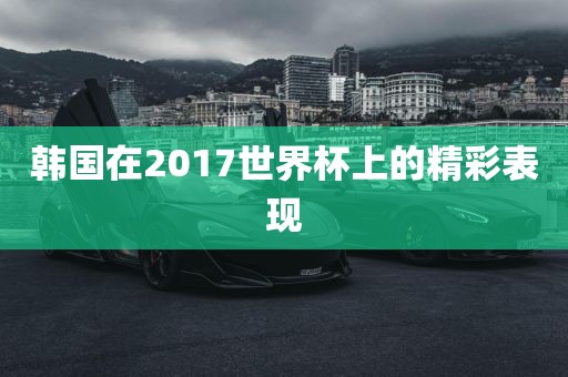 韩国在2017世界杯上的精彩表现洪湖市顺升工程机械租赁有限公司
