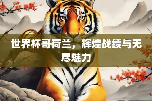 世界杯哥荷兰，辉煌战绩与无尽魅力