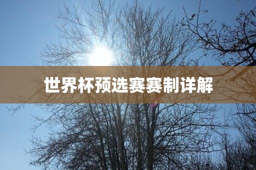 洪湖市顺升工程机械租赁有限公司世界杯预选赛赛制详解
