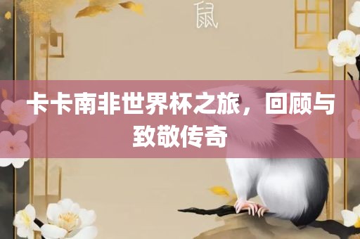 卡卡南非世界杯之旅，回顾与致敬传奇洪湖市顺升工程机械租赁有限公司