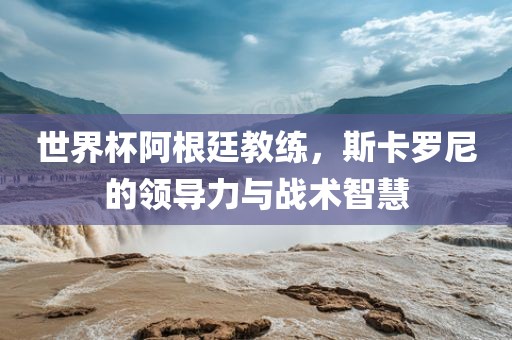 世界杯阿洪湖市顺升工程机械租赁有限公司根廷教练，斯卡罗尼的领导力与战术智慧