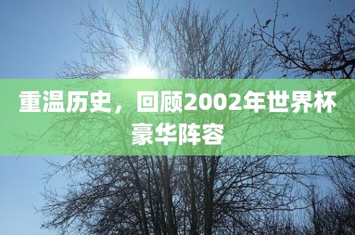 重温历史，回顾2002年世界杯豪华阵容