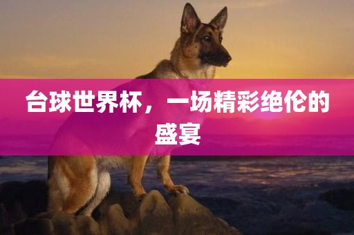 台球世界杯，一场精彩绝伦的盛宴洪湖市顺升工程机械租赁有限公司