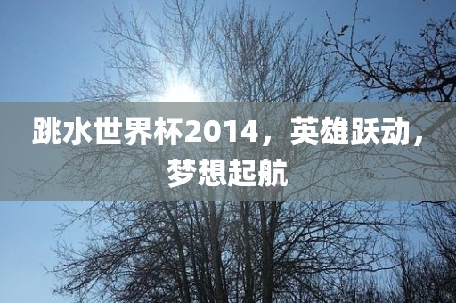 跳水洪湖市顺升工程机械租赁有限公司世界杯2014，英雄跃动，梦想起航