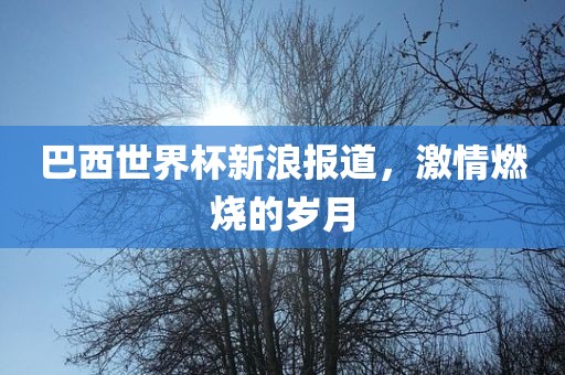 巴西世界杯新浪报道，激洪湖市顺升工程机械租赁有限公司情燃烧的岁月