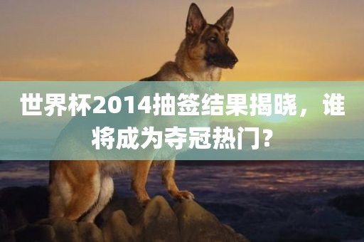 世界杯2014抽签结果揭晓，谁将成为夺冠热门？洪湖市顺升工程机械租赁有限公司