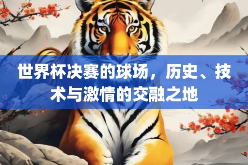 世界杯决赛的球场，历史、技术与激情的交融之地洪湖市顺升工程机械租赁有限公司