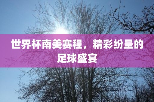 世界杯南美赛程，精彩纷呈洪湖市顺升工程机械租赁有限公司的足球盛宴