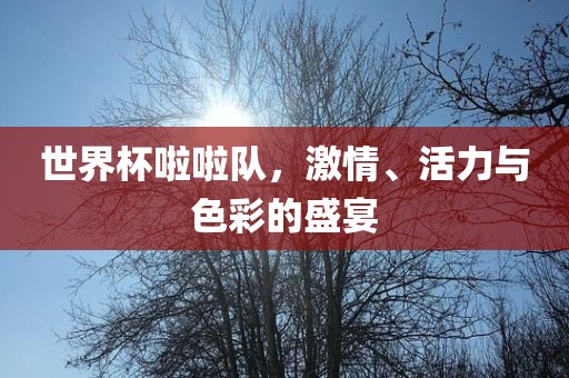 世界杯啦啦队，激情、活力与色彩的盛宴洪湖市顺升工程机械租赁有限公司