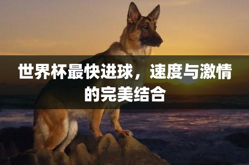 世界杯最快进球，速度与激情的完美结合