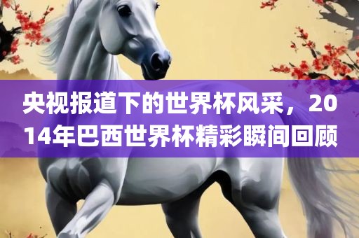 央视报道下的世界杯风采，2014年巴西世界杯精彩瞬间回顾