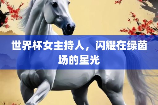 世界杯女主持人，闪耀在绿茵场的星光