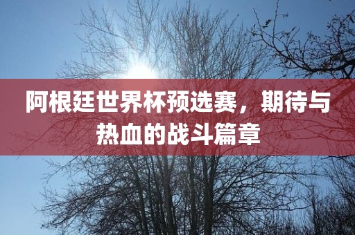 阿根廷世界杯预选赛，期待与热血的战斗篇章