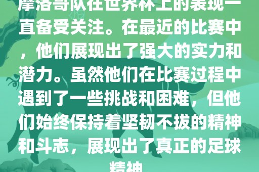 世界杯表现 第12页