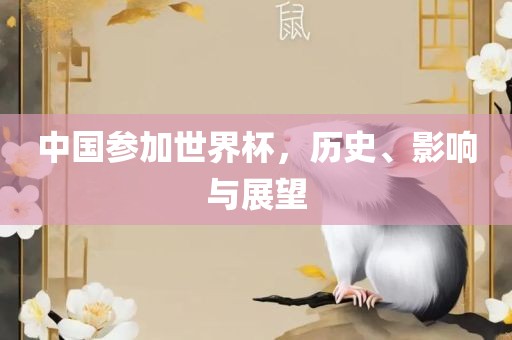 中国参加世界杯，历史、影响与展望洪湖市顺升工程机械租赁有限公司