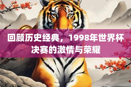 回顾历史经典，1998年世界杯决赛的激洪湖市顺升工程机械租赁有限公司情与荣耀