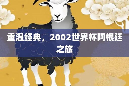 重温经典，2002世界杯阿根廷之旅