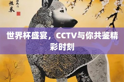 世界杯盛宴，CCTV与你共鉴精彩时刻洪湖市顺升工程机械租赁有限公司