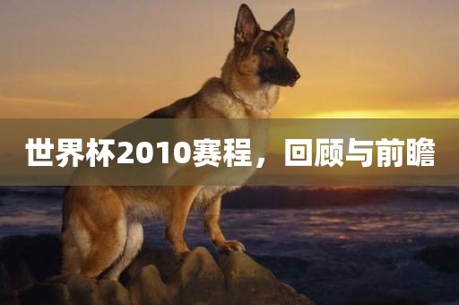 世界杯2010赛程，回顾与前瞻
