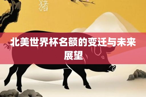 北美世界杯名额的变迁与未来展望