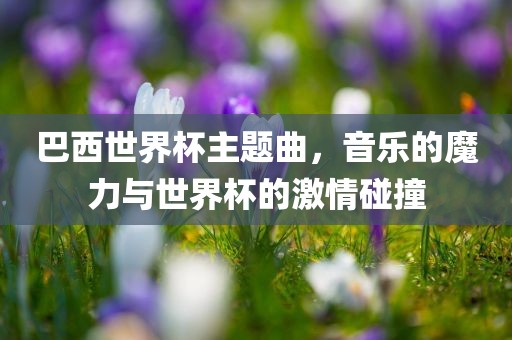 巴西世界杯主题曲，音乐的魔力与世界杯的激情碰撞洪湖市顺升工程机械租赁有限公司