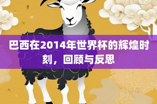 巴西在2014年世界杯的辉煌时刻，回顾与反思