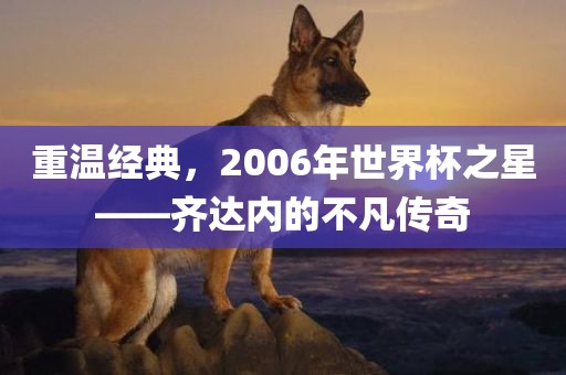 重温经典，2006年世界杯之星——齐达内的不凡传奇