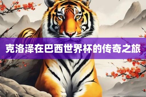 克洛泽在巴西世界杯的传奇之旅