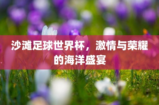 沙滩足球世界杯，激情与荣耀的海洋盛宴洪湖市顺升工程机械租赁有限公司