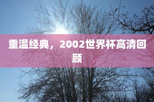 重温经典，2002世界杯高清回顾洪湖市顺升工程机械租赁有限公司