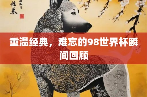 重温经典，难忘的98世界杯瞬间回顾洪湖市顺升工程机械租赁有限公司