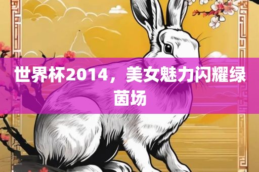 世界杯2014，美女魅力闪耀绿茵场