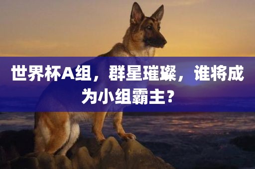 世界杯A组，群星璀璨，谁将成为小组霸主？