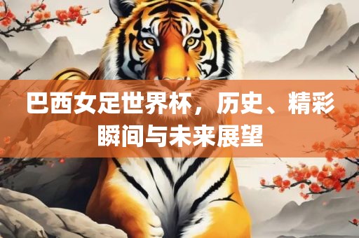 巴西女足世界杯，历史、精彩瞬间与未来展望