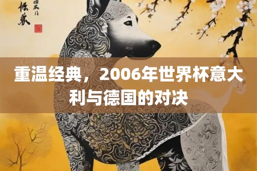 重温经典，2006年世界杯意大利与德国的对决