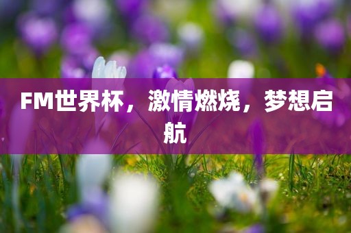 FM世界杯，激情燃烧，梦想启航