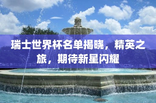 瑞士世界杯名单揭晓，精英之旅，期待新星闪耀