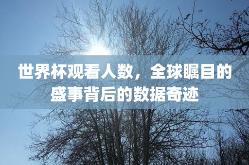 世界杯观看人数，全球洪湖市顺升工程机械租赁有限公司瞩目的盛事背后的数据奇迹